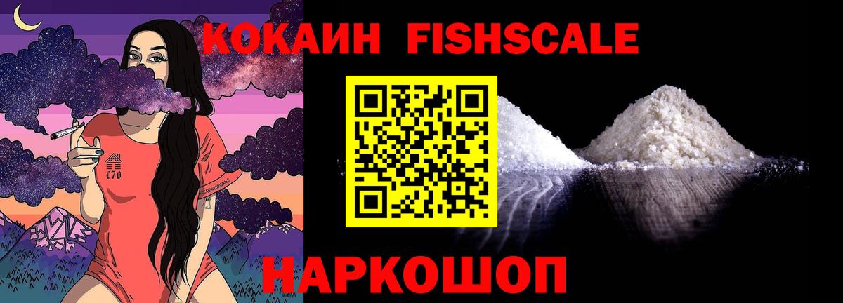 COCAIN Эквадор Сочи