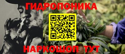 хмурый Малоярославец
