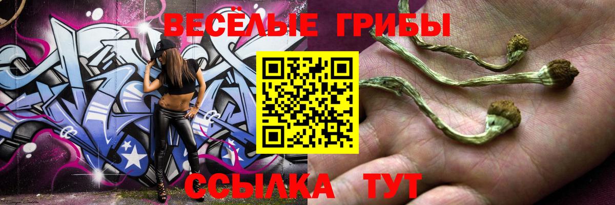 Псилоцибиновые грибы Cubensis Сочи